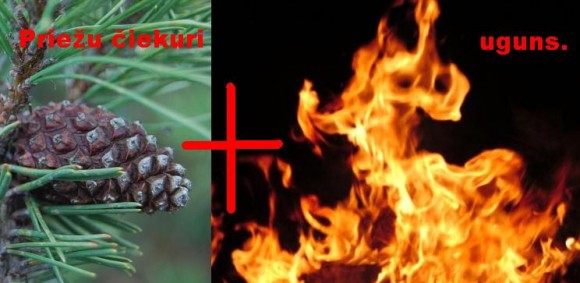 Ko senie Latvieši izmantoja kā pretlīdzekli pret odiem/odu atbaidīšanai?