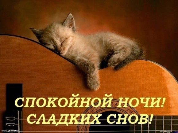 пожелаете спокойной ночи?