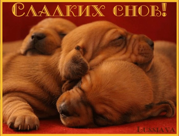пожелаете спокойной ночи?