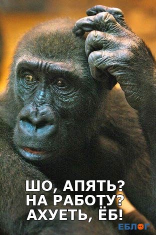 Ваше настроение ?