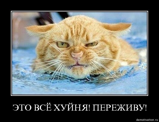 Ваше настроение ?