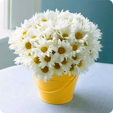 Какой цветок в жаркое время дольше простоит в вазе?