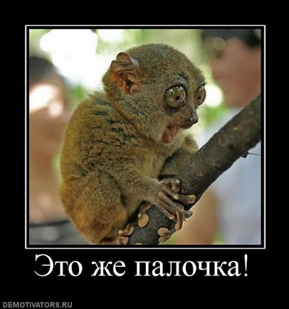 покажите что-нибудь очень смешное ? ))