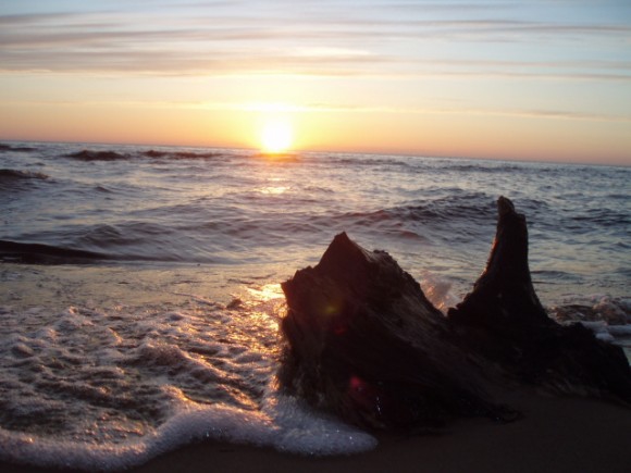Покажите вашу фотографированную фотографию,которую вы считаете самой красивой или художественной!?