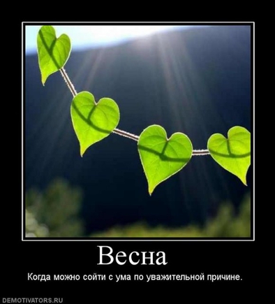 что вы сейчас хотите??