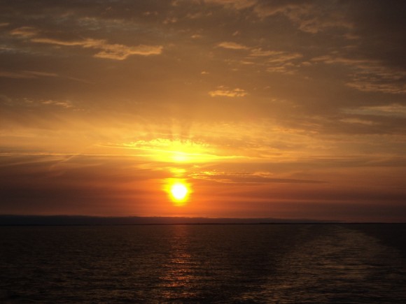 Покажите вашу фотографированную фотографию,которую вы считаете самой красивой или художественной!?