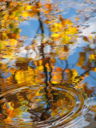 Покажите вашу фотографированную фотографию,которую вы считаете самой красивой или художественной!?