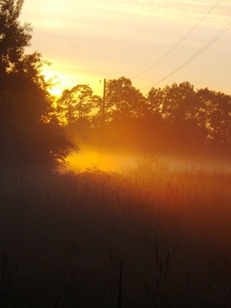 Покажите вашу фотографированную фотографию,которую вы считаете самой красивой или художественной!?