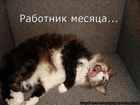 Как выглядит работник месяца ? )