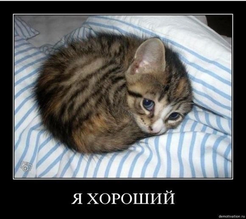  кто вы по жизни?