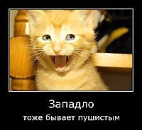 покажите западло?