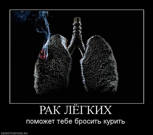 Покажите фотку,картинку что-бы сразу не хотелось курить))!