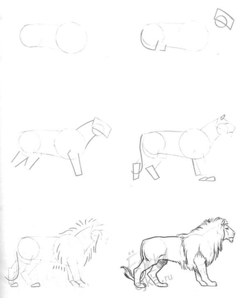 Покажите пожалуйста картинки с животными с пошаговым рисованием?