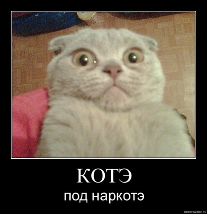 покажите тупое выражение лица ?