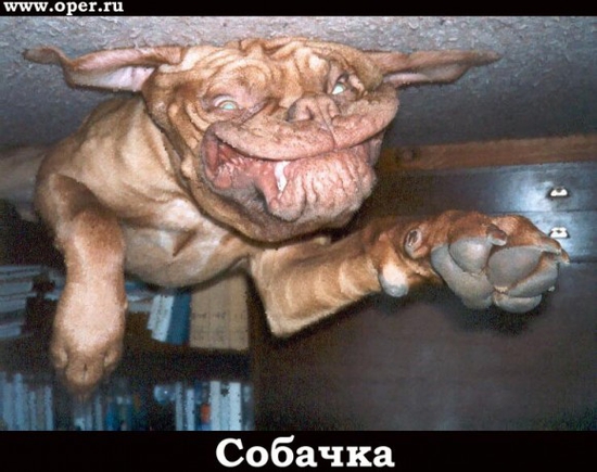 что имеется ввиду под похабными фотками?