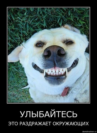 Покажите мне улыбку любого животного?:)
